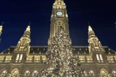 talentum_20241206_szakgimiseinkbecsben11