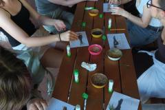 talentum_20260531_villaromana9osztaly12