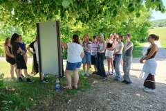 talentum_20260531_villaromana9osztaly5