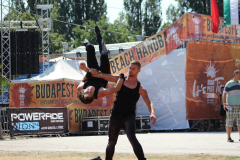 13615512_1785791314991497_8091084632420843000_n