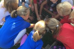 42203309_282054705947372_4010608377599098880_n