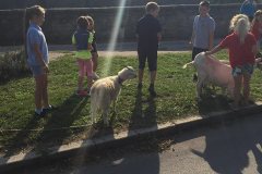 42247271_2184493438492765_2061932602452869120_n