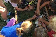 42289139_473946619766852_8430841998264500224_n