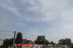 31493097_1971789712831082_8577635210118561792_n