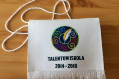 31957487_1971793429497377_568774354276450304_n