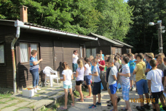 img_0532 img_0532