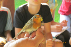 img_0552 img_0552