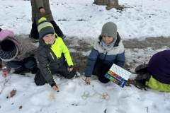 talentum_20260126_hofestes2