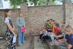talentum_20260627_kornyezetvedelmivilagnap6