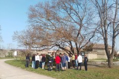 talentum_20260316_muzeumpedagogia9osztaly1