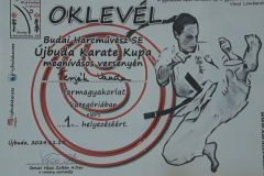 talentum_20241120_terjekvandasportsiker1