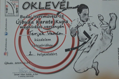 talentum_20241120_terjekvandasportsiker2