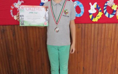 Shotokan karate siker