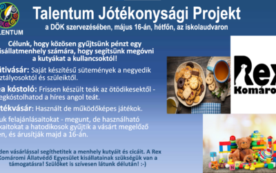 DÖK jótékonysági projekt