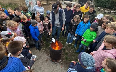 Bonfire night a Talentumban