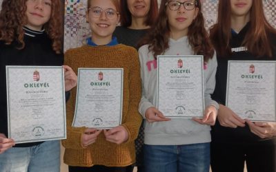 Bolyai anyanyelvi csapatverseny 2024