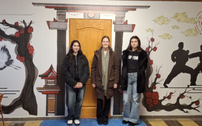 Karateillusztráció