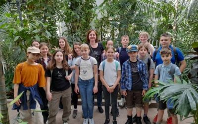 Einstand – A Pál utcai fiúk nyomában